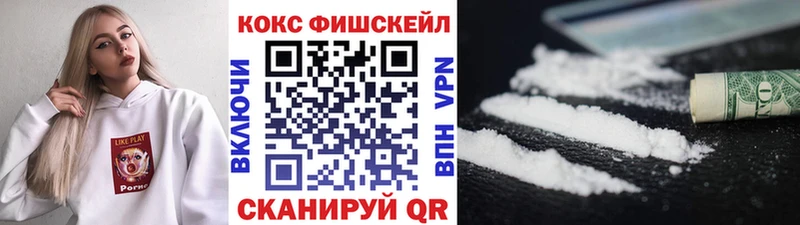 Cocaine FishScale  купить наркоту  Дятьково 