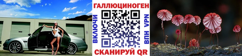 Галлюциногенные грибы Cubensis  где купить наркоту  Дятьково 